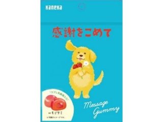カネカ メッセージグミ 感謝をこめて４０ｇ ×10 【送料込】(一部地域別途)の画像