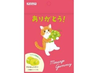 カネカ メッセージグミ ありがとう４０ｇ ×10 【送料込】(一部地域別途)の画像