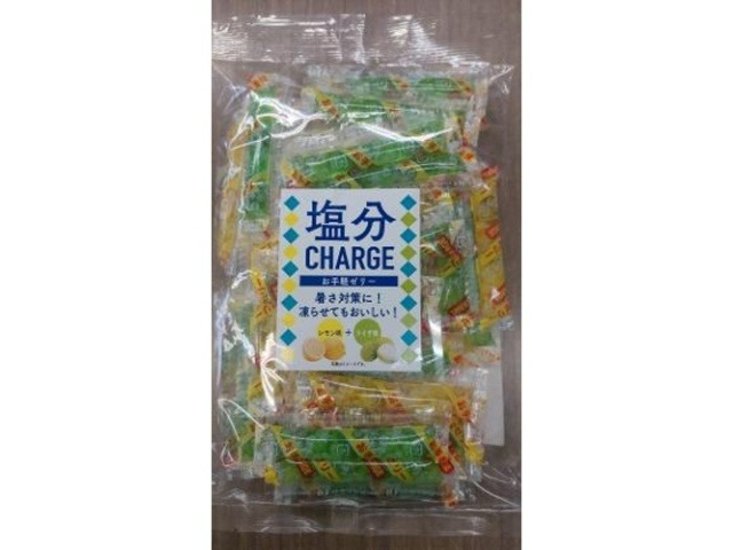 坂製菓 塩分チャージレモン＆ライチ ５００ｇ ×15 【送料込】(一部地域別途)画像