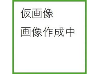 カンロ ノンシュガー塩飴 ７０ｇ  ×60 【送料込】(一部地域別途)の画像