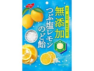 ノーベル無添加つぶ塩レモンのど飴 ９０ｇ ×48 【送料込】(一部地域別途)の画像