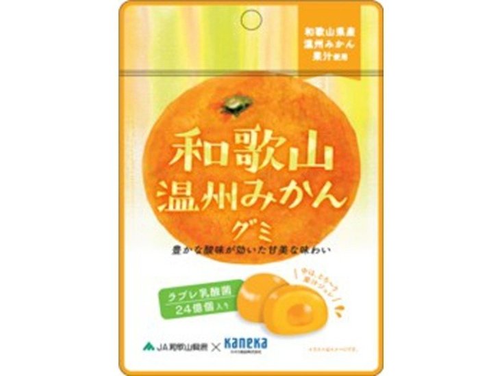 カネカ 和歌山温州みかんグミ 乳酸菌入り４０ｇ   ×10 【送料込】(一部地域別途)画像