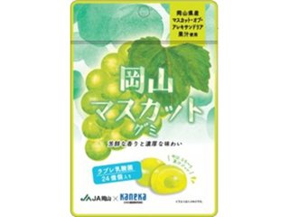 カネカ 岡山マスカットグミ ラブレ乳酸菌入４０ｇ   ×10 【送料込】(一部地域別途)の画像