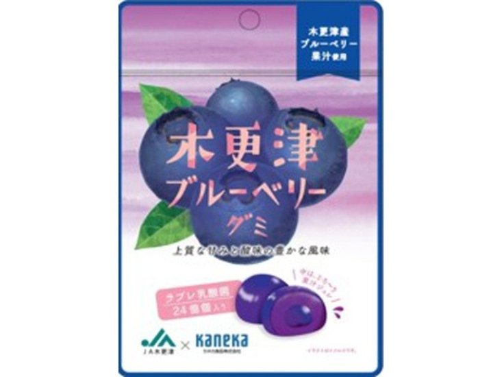カネカ 木更津ブルーベリーグミラブレ乳酸菌４０ｇ   ×10 【送料込】(一部地域別途)画像