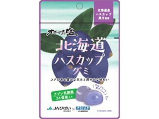 カネカ 北海道ハスカップグミ ラブレ乳酸菌入４０ｇ   ×10 【送料込】(一部地域別途)の画像