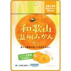 カネカ 和歌山温州みかんグミ 乳酸菌入り４０ｇ   ×10の画像