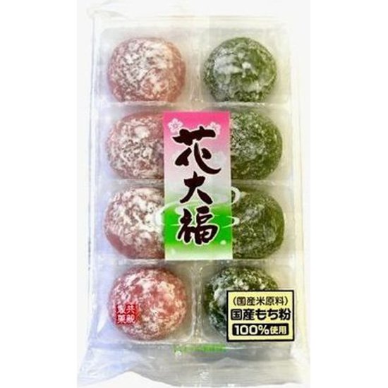共親 花大福 ×6画像
