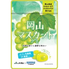 カネカ 岡山マスカットグミ ラブレ乳酸菌入４０ｇ ×80の画像