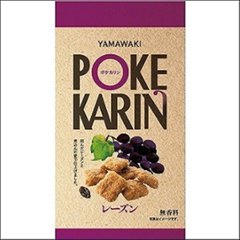 山脇 ポケカリン レーズン５０ｇ ×16の画像
