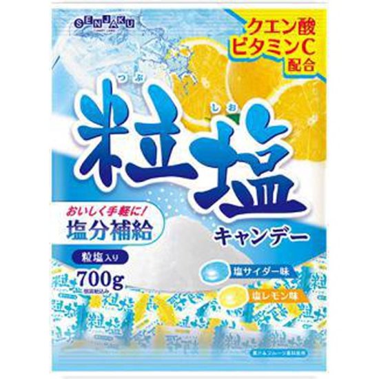 扇雀飴 粒塩キャンデー７００ｇ ×10画像