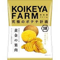 湖池屋ＦＡＲＭ 黄金の果肉天美の焼き塩５５ｇ  ×12の画像