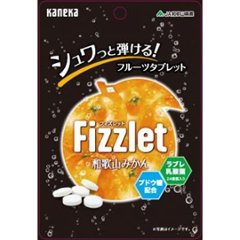 カネカ Ｆｉｚｚｌｅｔ 和歌山みかん２４ｇ  ×100の画像