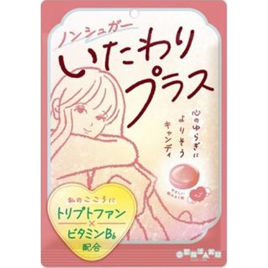 扇雀飴 いたわりプラス ６５ｇ  ×10画像