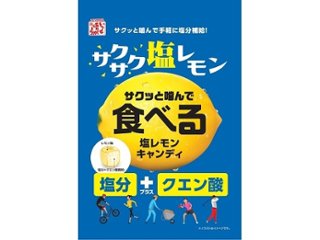 松屋 食べる塩レモンキャンディ８０ｇ ×10 【全国送料込】(沖縄・離島除く)の画像