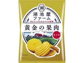 湖池屋ファーム 黄金の果肉 焼き塩 ×12 【全国送料込】(沖縄・離島除く)の画像