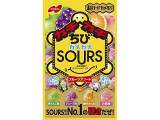 ノーベル カチカチちびカメサワーズフルーツアソート ×6 【全国送料込】(沖縄・離島除く)の画像