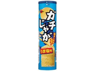 ブルボン ガチじゃが うま塩味１００ｇ ×40 【全国送料込】(沖縄・離島除く)の画像