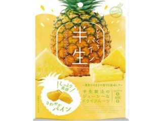 半生フルーツ ひとくちパイン７０ｇ ×24 【全国送料込】(沖縄・離島除く)の画像