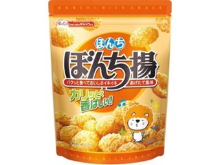 ぼんち ぼんち揚チャック付 １００ｇ ×12 【全国送料込】(沖縄・離島除く)の画像