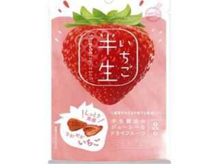 半生フルーツ いちご５０ｇ   ×24 【全国送料込】(沖縄・離島除く)の画像