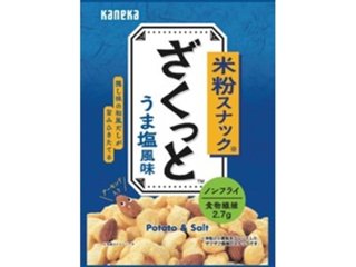 カネカ 米粉スナック うま塩風味３５ｇ ×48 【全国送料込】(沖縄・離島除く)の画像