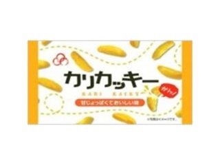ヤマト カリカッキー ９ｇ  ×120 【全国送料込】(沖縄・離島除く)の画像