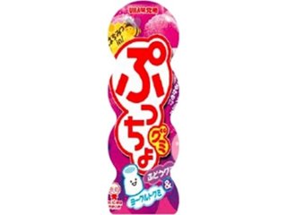 味覚糖 ぷっちょグミ ぶどう容器４０ｇ ×10 【送料込】(一部地域別途)の画像
