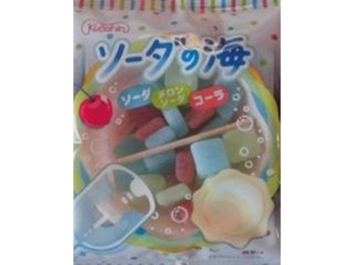 共親 ソーダの海 ×24 【送料込】(一部地域別途)の画像