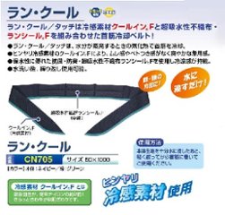 ラン・クール　CN705の画像