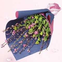 桃と菜の花の花束　511960の画像