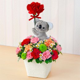 コアラのマスコット付アレンジ521342の画像