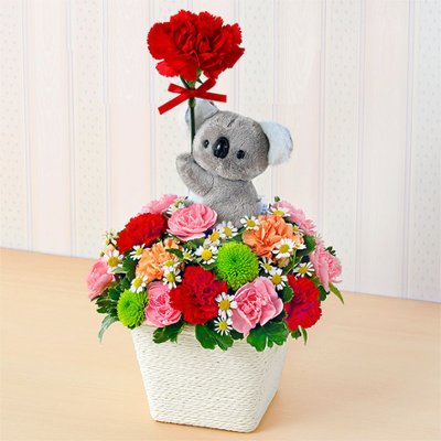 コアラのマスコット付アレンジ521342の画像