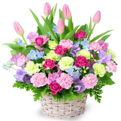 チューリップのミックスアレンジ　524181の画像