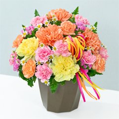 ハミングアレンジ(カラフル)　521368の画像