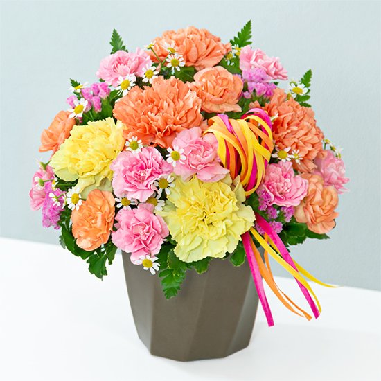 ハミングアレンジ(カラフル)　521368画像