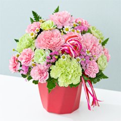 ハミングアレンジ(ピンク)　521367の画像