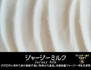 【山口県特産品振興奨励賞受賞】【冬】下関プレミアムジェラート（１２個入）画像