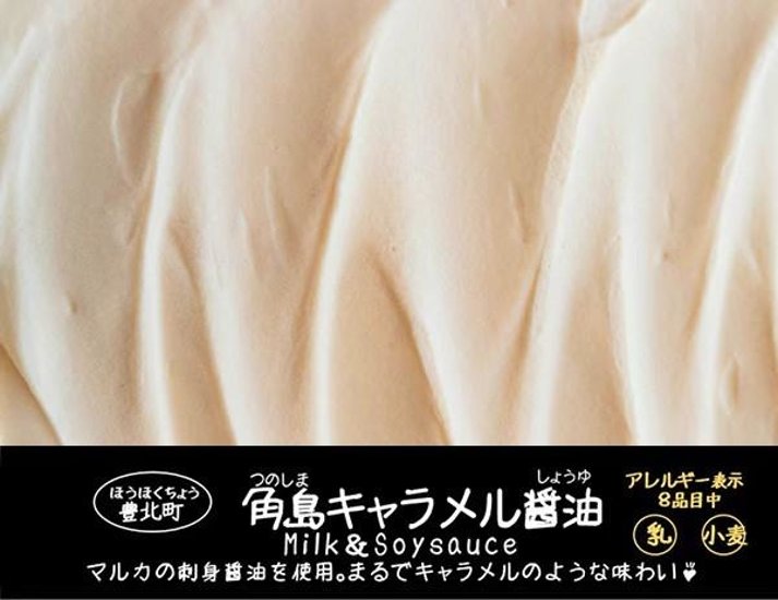 【山口県特産品振興奨励賞受賞】【冬】下関プレミアムジェラート（１２個入）画像