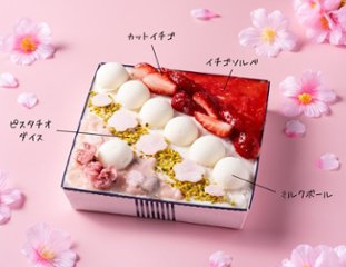 さくらとイチゴミルクのジェラートBOX【予約販売3/1～】画像