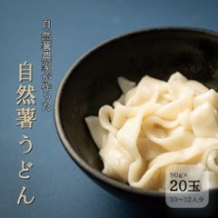 〈自然薯うどん〉　20玉入画像