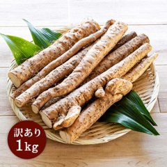 自然薯（訳あり）【1kg】の画像