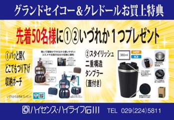 GSTE785｜Signo｜セイコークレドール【国内正規品】【ノベルティ付・ｷﾞﾌﾄ包装･ｻｲｽﾞ調整無料】レディース腕時計　限定 （在庫あり）画像