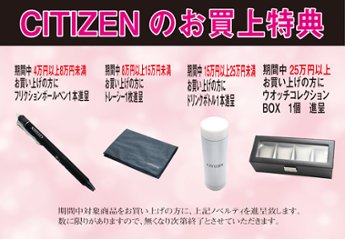 CB0261-53L  シチズンコレクション【国内正規品】【ノベルティ付・ｷﾞﾌﾄ包装無料】ソーラー電波　腕時計 メンズ画像