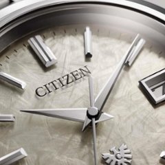 AQ4100-57C 〇The CITIZEN 30周年記念 限定モデル【ベルト調整無料･国内正規品】腕時計 メンズ ソーラー 画像