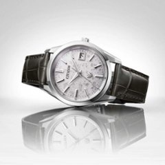 AQ4100-22A〇The CITIZEN 30周年記念 限定モデル【ベルト調整無料･国内正規品】腕時計 メンズ ソーラー画像