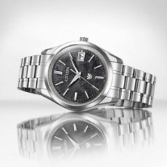 AQ4100-57E: ザ・シチズン【ノベルティ付･ギフト包装･ベルト調整無料･国内正規品】腕時計 メンズ ソーラー メタリック塗装文字板画像