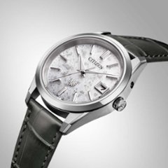 AQ4100-22A〇The CITIZEN 30周年記念 限定モデル【ベルト調整無料･国内正規品】腕時計 メンズ ソーラー画像