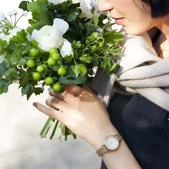 EW2633-50A◯ クロスシー【ノベルティ付・国内正規品】【ギフト包装・サイズ調整 無料】ソーラー　レディース腕時計画像