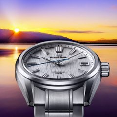 SLGA009●グランドセイコー [Evolution9]ﾏｽﾀｰｼｮｯﾌﾟﾓﾃﾞﾙ【正規保証品】腕時計 メンズ ｽﾌﾟﾘﾝｸﾞﾄﾞﾗｲﾌﾞ白樺 （在庫あり）画像