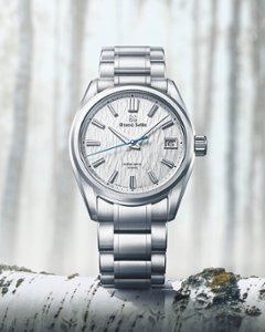 SLGA009●グランドセイコー [Evolution9]ﾏｽﾀｰｼｮｯﾌﾟﾓﾃﾞﾙ【正規保証品】腕時計 メンズ ｽﾌﾟﾘﾝｸﾞﾄﾞﾗｲﾌﾞ白樺 （在庫あり）画像